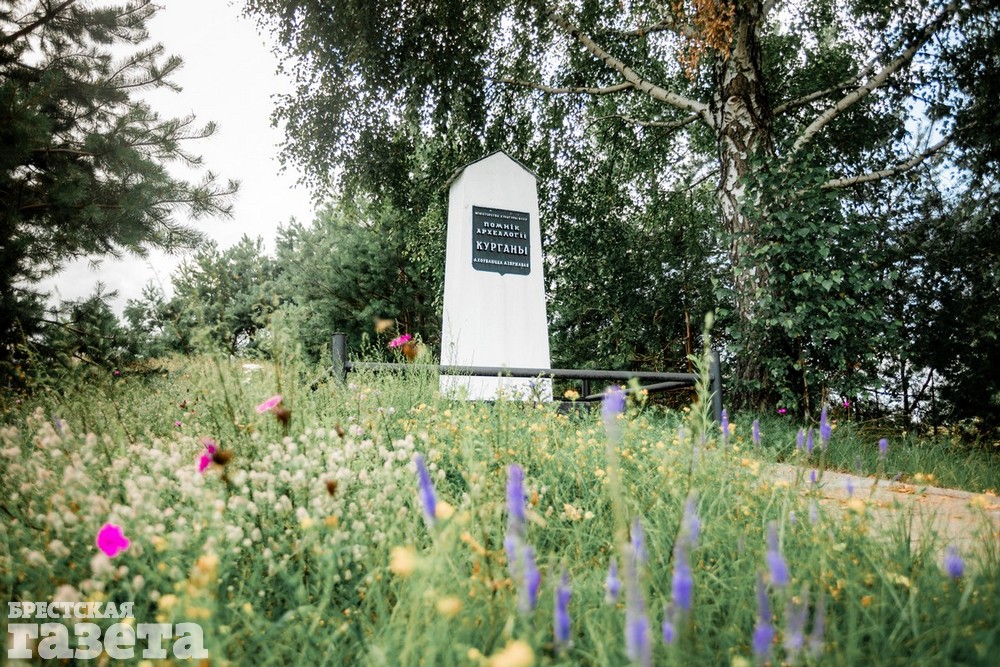 Памятник Курганы