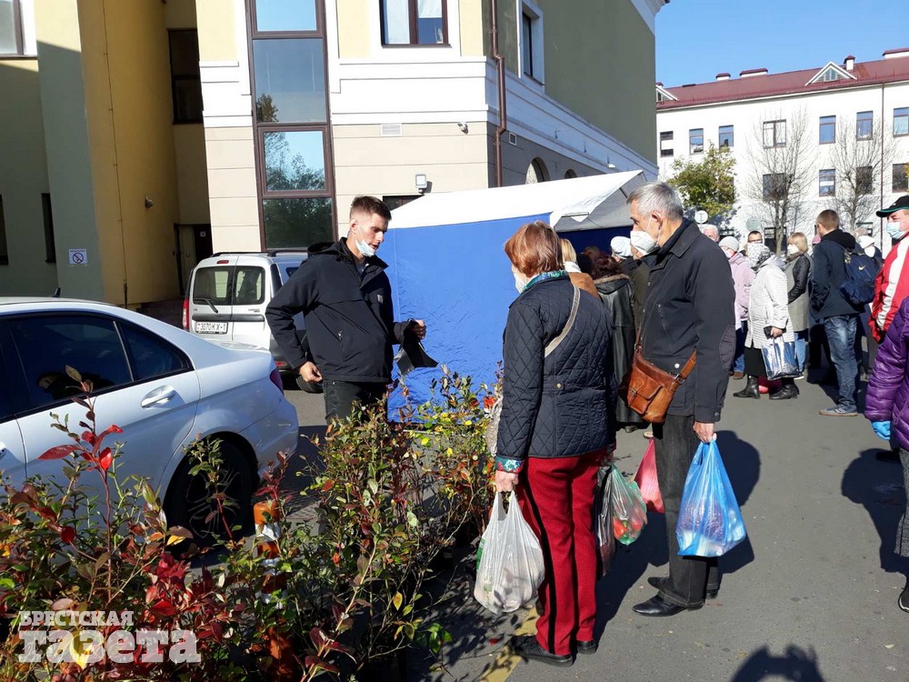 Торговали на ярмарке в субботу и саженцами.