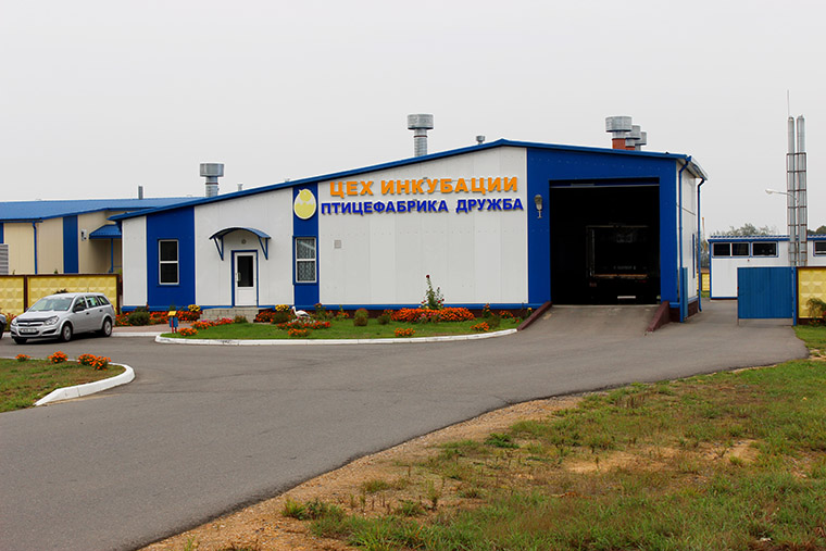 Птицефабрика «Дружба». Иллюстративное фото