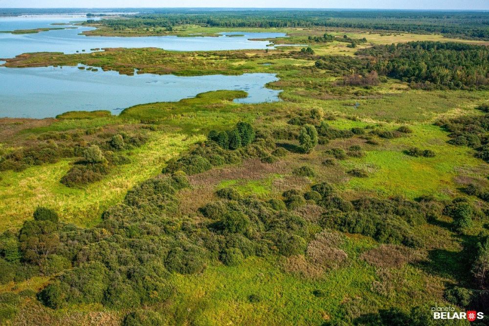 Водохранилище Локтыши