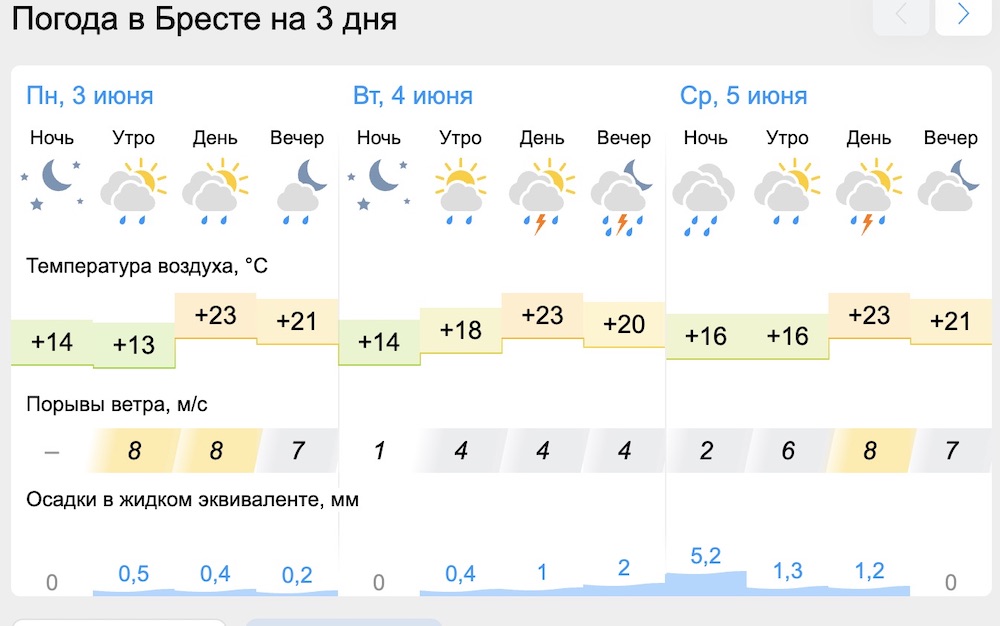 Скриншот с сайта gismeteo. Погода в Бресте на 3-5 июня 2024 года.