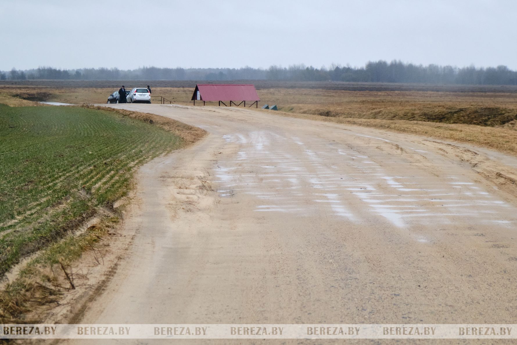 Дорога в агрогородке Селец Березовского района. Фото: Bereza.by.