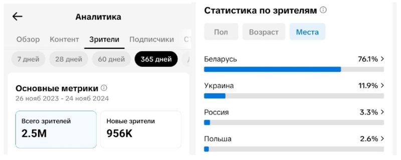 Агульная колькасць гледачоў блога «Мова ад Васіля» за 1 год у TikTok