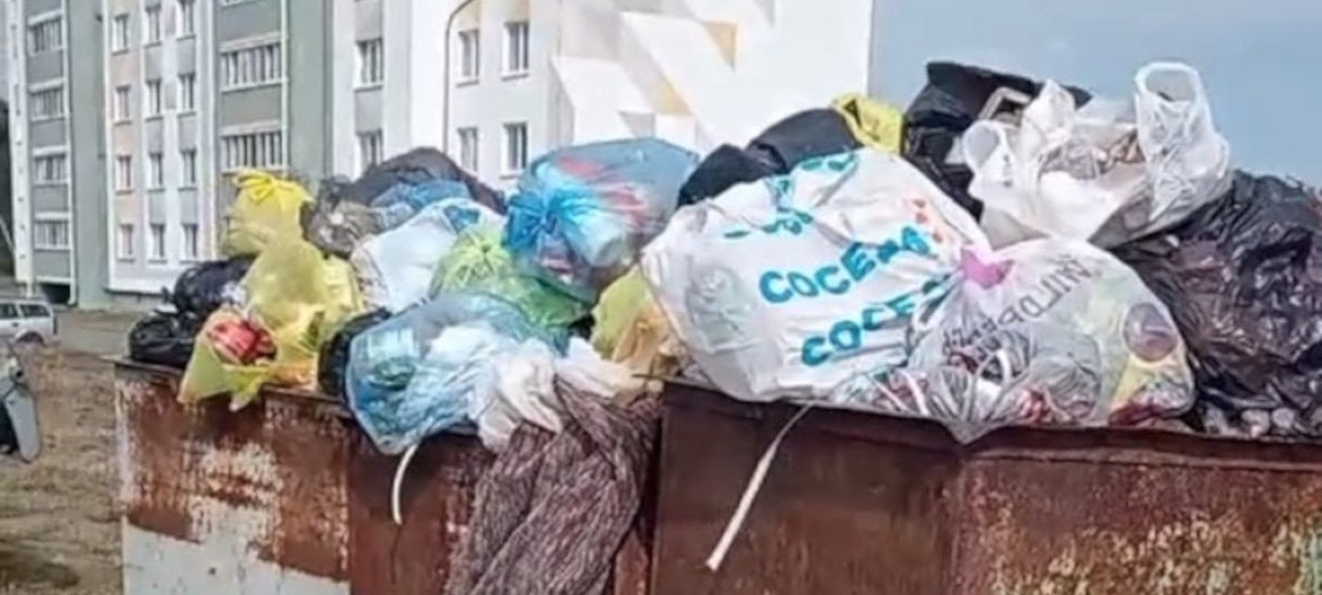 мусор в Рогачеве