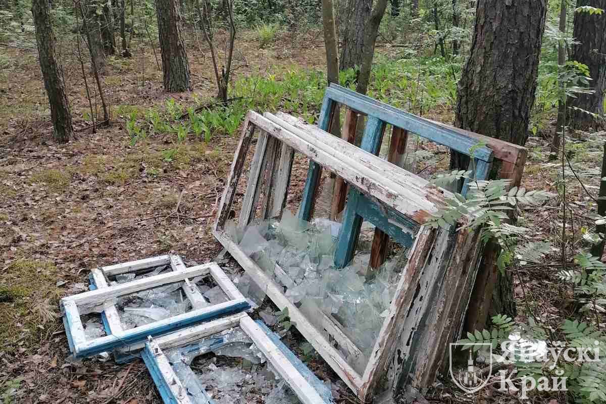 Оконные рамы в одном из лесов Ивановского района Брестской области. 