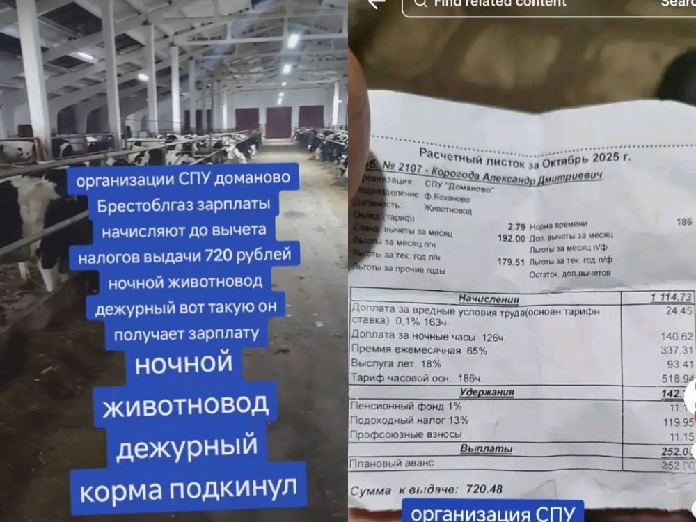 расчётный лист с работником сельхозпредприятия