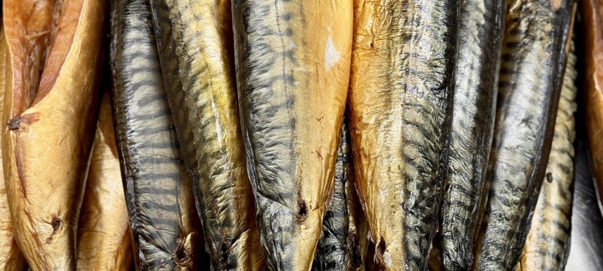 Скумбрия, рыба