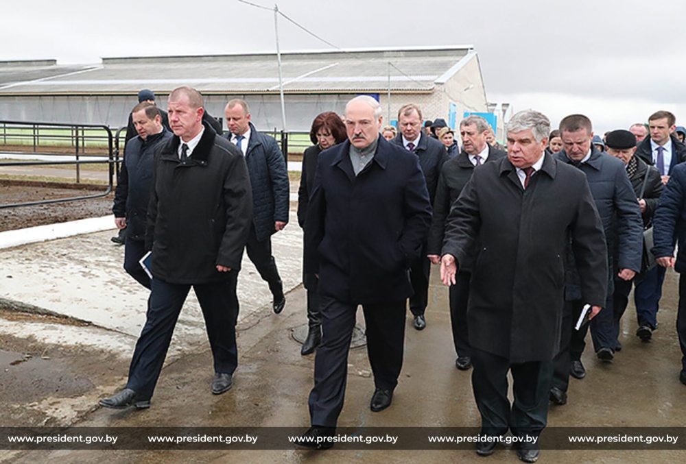 Александр Лукашенко в сопровождении группы чиновников осматривает сельскохозяйственный объект. Зимняя одежда, промышленная зона на фоне.