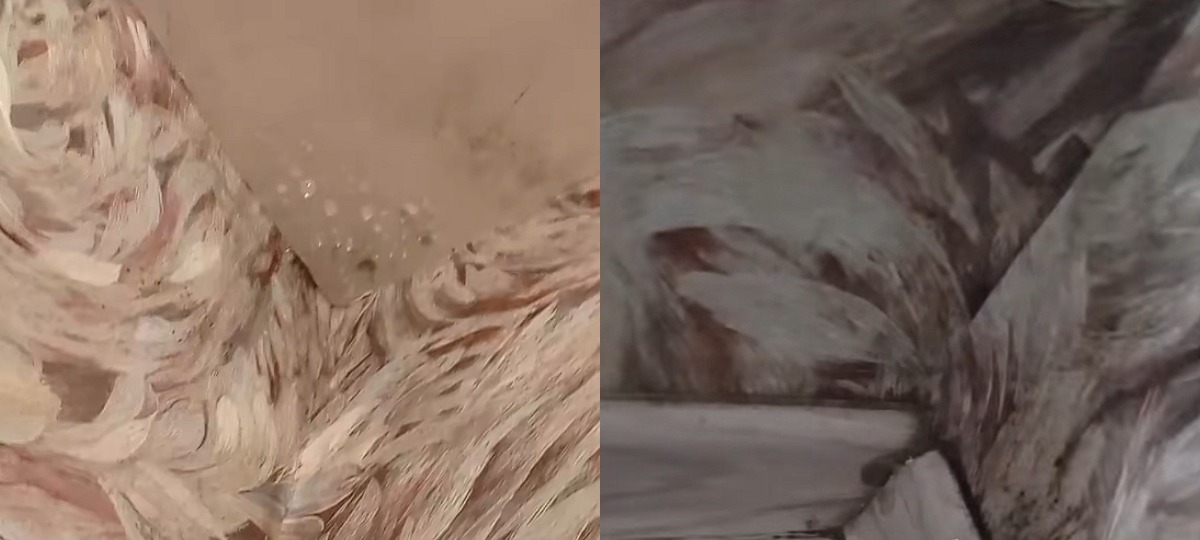 вода капает с потолка и образует плесень