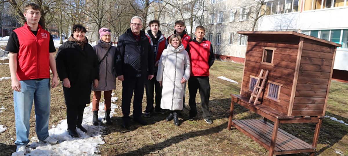 дом для котов