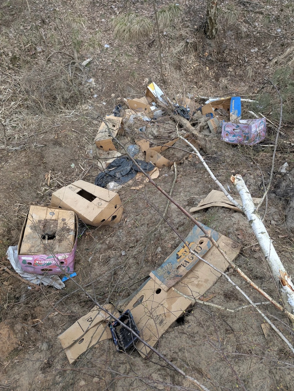 Мусор в лесу около Плоски в Бресте