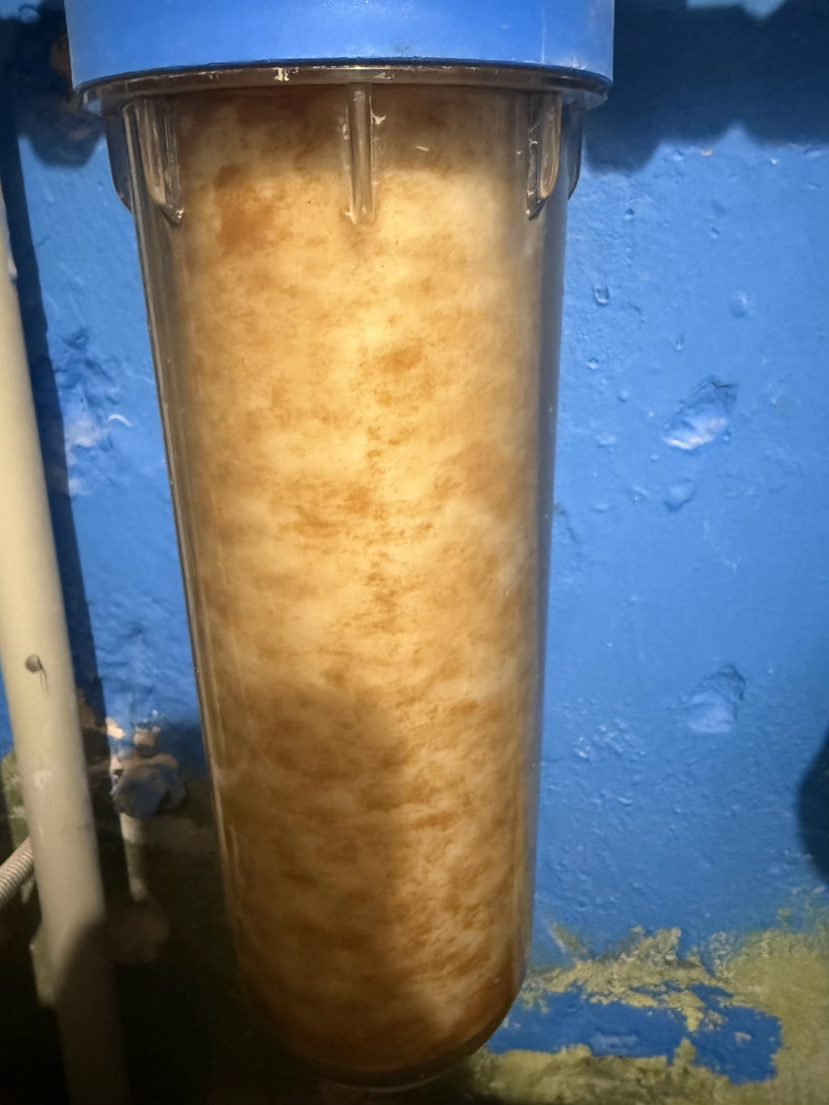 Состояние фильтра за 4 дня в микрорайоне Западный в Пинске