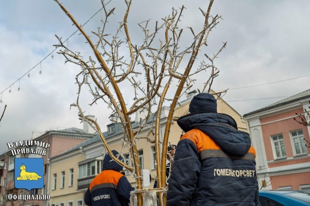 Светодиодные деревья на улице Баумана в Гомеле. Фото из телеграм-канала председателя Гомельского горисполкома Владимира Привалова