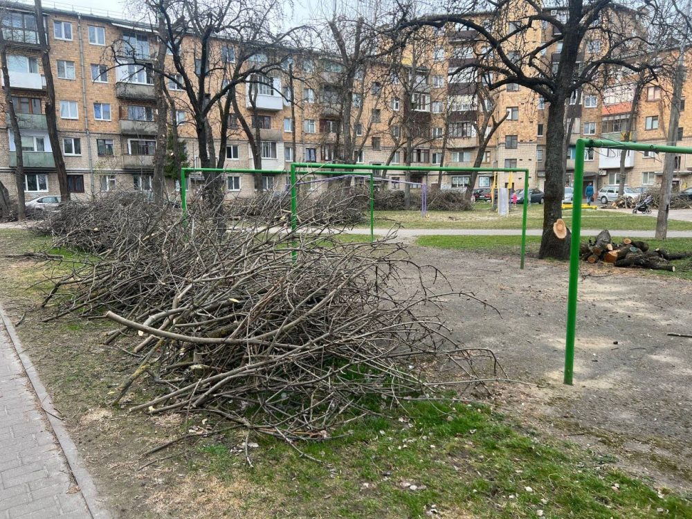 Ветки и сучья обрезанных деревьев в центре Бреста