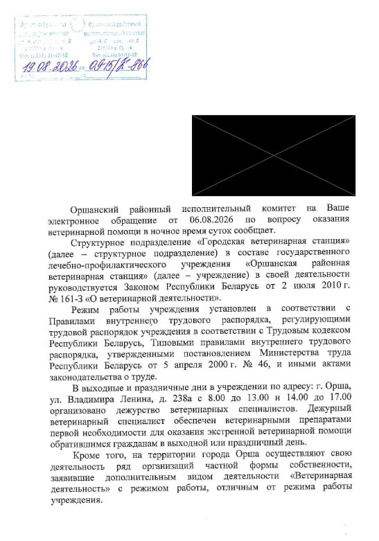 Ответ властей Орши